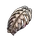 Regenerative Ribcage