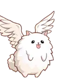 Whitey