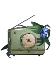 Ms. Radio