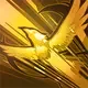 Plumed Feather