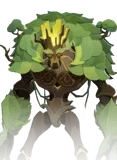 Ulmus