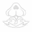 Surgent Manifestation