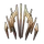 Consecrated Halo