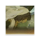 The Wind’s Listener