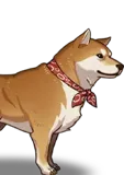 Shiba