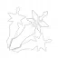 Spirit Blade: Cloud-Parting Star