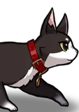Neo