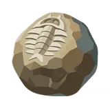 Precious Fossilized Core