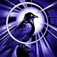 Dark Plume